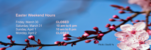 Easter Hours 2018