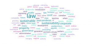 Words in Allard School of Law Faculty Publication Titles in 2022