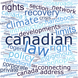 Words in Allard School of Law Faculty Publication Titles in 2023